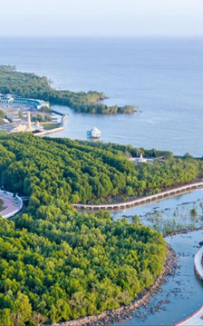 Cà Mau triển khai Chương trình “Điểm đến năm 2026”