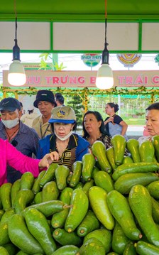 Sắp diễn ra Lễ hội trái cây Nam Bộ lần thứ 22
