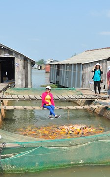 Tìm cách làm mới để thu hút khách