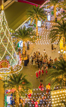 Cây thông bừng sáng: Phú Quốc chính thức bước vào mùa lễ hội rực rỡ nhất năm