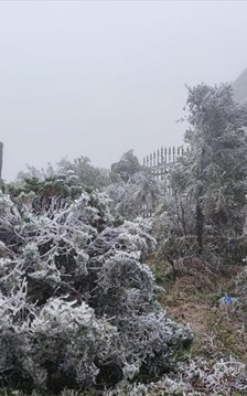 Cẩm nang săn băng tại đỉnh Mẫu Sơn - Chuyến đi an toàn và thú vị