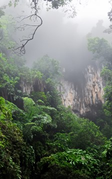 Khám phá tour xuyên rừng chinh phục “nóc nhà” Cúc Phương