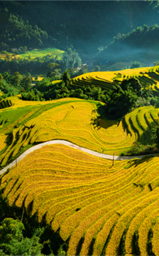  Sa Pa là điểm đến duy nhất của Việt Nam được tạp chí Mỹ gợi ý