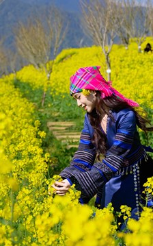 Lạc lối với thiên đường hoa cải vàng tại Fansipan