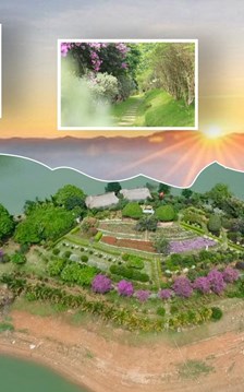 Từ đất hoang sơ thành đảo hoa hút khách giữa lòng hồ Núi Cốc