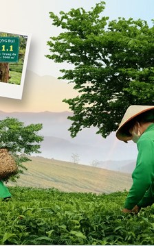 Giữ hồn trà đạo, vươn tầm thương hiệu chè tại Thái Nguyên