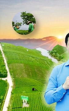 Tái cấu trúc du lịch từ lợi thế vùng chè Thái Nguyên