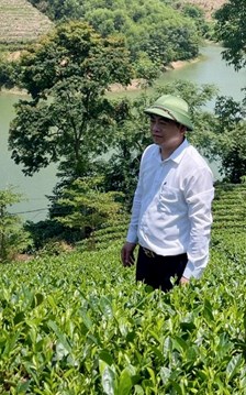 Thái Nguyên tôn vinh văn hóa trà qua hành trình trải nghiệm