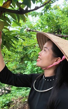 Thái Nguyên đưa nông sản thành điểm hẹn du lịch
