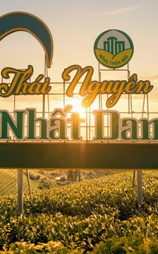 Thái Nguyên biến văn hóa trà thành sản phẩm du lịch