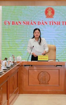 Festival Trà Quốc tế Thái Nguyên 2026 vào chặng nước rút
