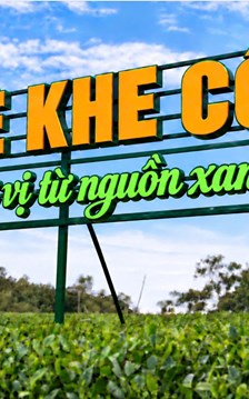 Thái Nguyên bắc nhịp cầu đưa hương trà đến Festival Trà Quốc tế