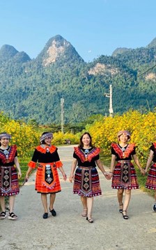 Tháng 11, hẹn nhau lên vùng cao nguyên đá check-in mùa dã quỳ nở rộ