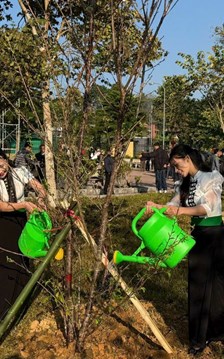 Mường Phăng phát động trồng cây anh đào tạo cảnh quan hấp dẫn du khách