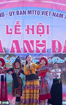 Sắc thắm hoa anh đào Mường Phăng níu chân du khách