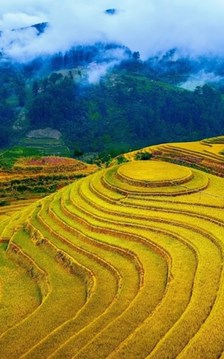 Lào Cai hướng tới xây dựng hệ sinh thái du lịch thông minh