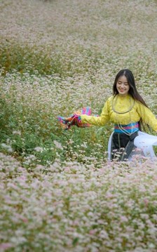 Lũng Cú sẵn sàng đón du khách mùa hoa tam giác mạch