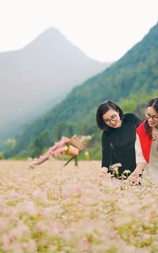 Phố Bảng - điểm hẹn mùa hoa Tam giác mạch