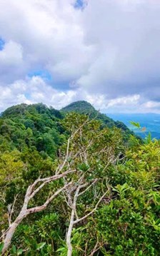  “Báu vật xanh” Kon Ka Kinh chính thức trở thành điểm du lịch