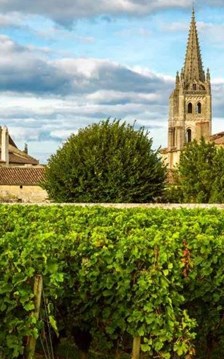 Du lịch rượu vang đánh thức di sản nông nghiệp toàn cầu