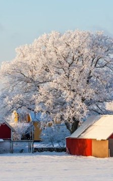 Đến Thụy Điển trải nghiệm… du lịch ngủ