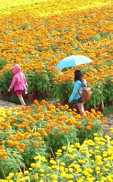 Du lịch Việt Nam với bài toán chuyển đổi mô hình bền vững