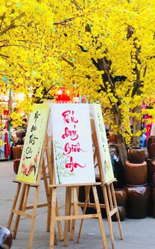 Lễ hội Tết Việt Bính Ngọ 2026 có những hoạt động gì đặc sắc?