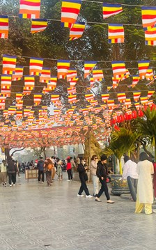 Vì sao ngày càng nhiều người chọn du lịch dịp Tết?