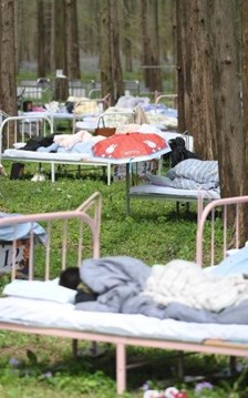 Thi ngủ giữa rừng, săn tiền thưởng và danh hiệu “Thần ngủ tối cao”