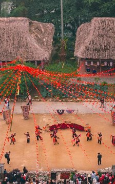 Lên Fansipan mùa thu: Săn mây, ngắm mùa vàng và thảm hoa rực rỡ  ​
