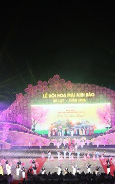 Lâm Đồng: Khai mạc Lễ hội Hoa mai Anh đào Đà Lạt