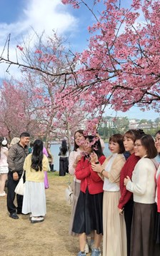 Lâm Đồng cần định vị lại thị trường khách du lịch nước ngoài