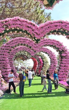 Lâm Đồng triển khai chương trình kích cầu du lịch năm 2026, thu hút gần 40 doanh nghiệp 