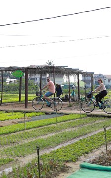  “Chạm về nguyên bản” để phát triển bền vững