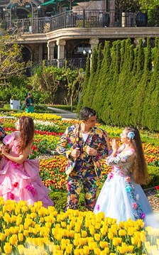 Đà Nẵng rộn ràng chuỗi lễ hội, sự kiện đón Tết Bính Ngọ 2026