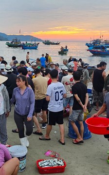 Thức dậy lúc 5 giờ sáng ở Đà Nẵng để có trải nghiệm không phải ai cũng biết