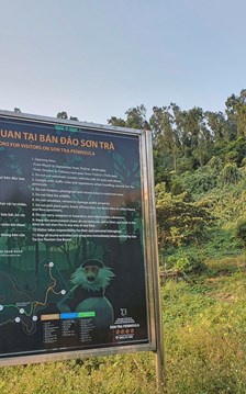 Đến bán đảo Sơn Trà, đừng vượt biển cấm!