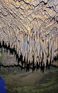 Quảng Trị: Phát hiện nhiều hang động mới