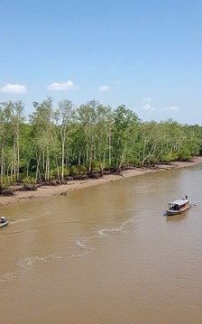 Quy hoạch phát triển Cù Lao Dung thành trung tâm du lịch sinh thái - nghỉ dưỡng cao cấp 