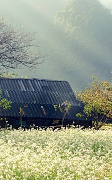 Sơn La điều chỉnh quy hoạch tỉnh: Du lịch trở thành trụ cột tăng trưởng mới