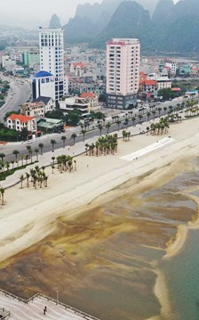 Quảng Ninh hướng tới trung tâm du lịch quốc tế, thành phố di sản tầm khu vực