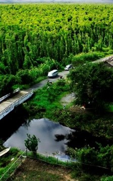Cà Mau phát triển 6 tuyến du lịch tại Vườn Quốc gia U Minh Hạ