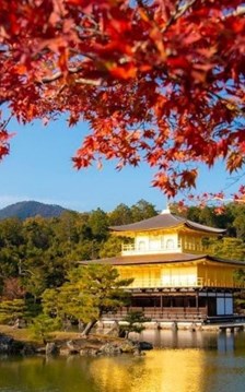 Nhật Bản - Hàn Quốc vào mùa lá đỏ rực rỡ, du khách Việt háo hức lên đường “săn thu”