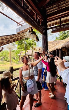 Sức hút của điểm đến an toàn