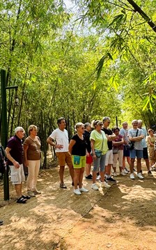 Cụ thể hóa đến từng địa phương, từng lĩnh vực