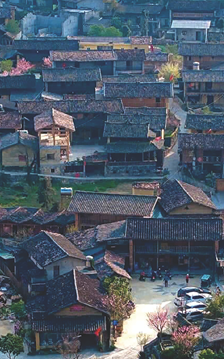 Mùa Xuân ở Lô Lô Chải và câu chuyện bước ra thế giới