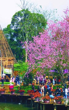 Quảng Ngãi đạt 3.700 tỉ đồng doanh thu từ du lịch 