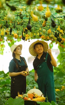 Quảng Ngãi đón sóng du khách, doanh thu du lịch tăng mạnh