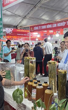 Phát triển OCOP gắn với du lịch nông thôn và chuyển đổi số 