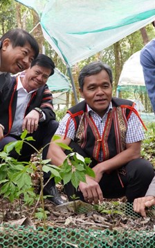 Đánh thức giá trị dược liệu, mở rộng không gian du lịch Quảng Ngãi